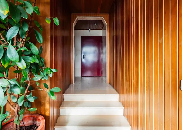 Διαμέρισμα Terraco Da Linha - Bairro Calmo E Αβέιρο